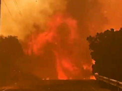 В огне 62 гектара – с усиленной помощью авиации распространение пламени на границе Анапы остановлено