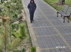 Система «Купол» в Анапе помогла задержать мужчину находившего в международном розыске