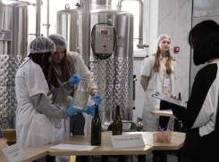 В Анапском сельхозтехникуме впервые запущена Фабрика процессов для виноделов