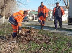 В Цибанобалке и Витязево анапские коммунальщики наводят порядок после зимы