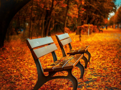 День собирания осенних листьев будет в Анапе тёплым