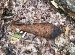 На виноградном поле под Анапой обнаружили минометную мину времен войны