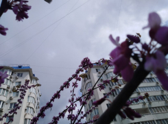 Сегодня, 4 мая, в Анапе с утра будет пасмурно