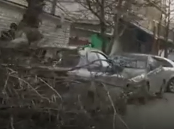 Почти анапский торнадо просвистал над городом: штормовой ветер повалил дерево на автомобиль