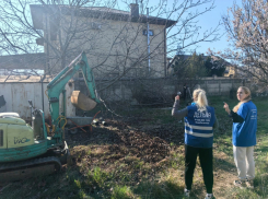 Анапа готовится принять новый стационар для дельфинов к осени