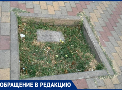 «Чудом не пострадала»: анапчанка просит привести в порядок клумбы 