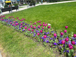 В День вахтовика в Анапе пойдёт дождь