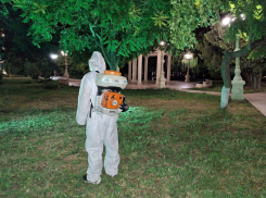 В Анапе проведут ночную обработку территорий от клещей