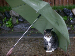 Выходные в Анапе прошли без смерчей, а в понедельник по прогнозам дождь