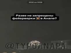 В Анапе ищут запустивших фейерверки во время пожара на плавнях