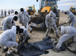 Мэрия Новороссийска обвинила федеральные СМИ в ложной информации о разливе мазута близ города-героя