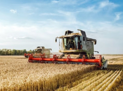 Уборка зерновых в хозяйствах Анапы завершена наполовину