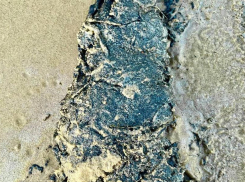 Недалеко от Анапы убрали свежие выбросы мазута 