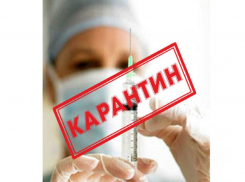 Привезли опасную инфекцию из Анапы, утверждает известный сайт в Екатеринбурге