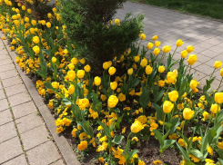 В День космического туриста в Анапе пасмурно
