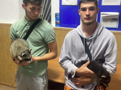 Фотоживодёров с енотами снова задержали в Анапе