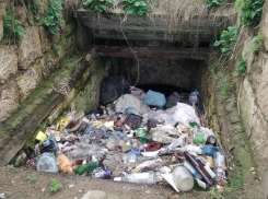 «Пусть кто жалуется, тот и убирает» - с вонючей свалкой в Чеконе под Анапой ничего не будут делать 