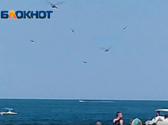 Нашествие стрекоз на Большом Утрише под Анапой сняли очевидцы на видео