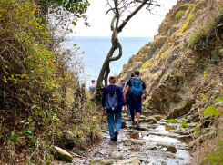 Туристы смогут по QR-коду проверить инструкторов-проводников Анапы