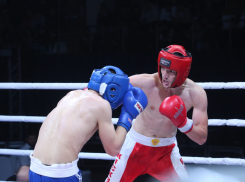 В Анапе завершились гала-финалы Кубка России по кикбоксингу