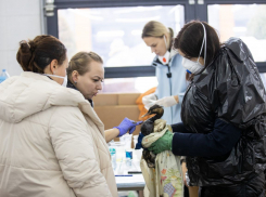Добровольцы Анапы в пункте по спасению птиц получат дополнительные средства защиты и расходные материалы