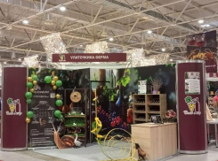 Анапа на «Кубанской ярмарке»: более 60 местных производителей