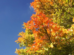 8 сентября в Анапе дождя не ожидается