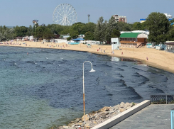 Раскрыта тайна черных водорослей на побережье Анапы 