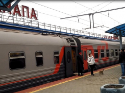 Молодой мужчина угодил под поезд Анапа – Москва и погиб