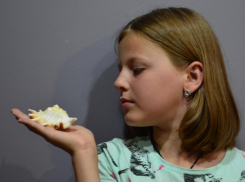  В Чёрном море недалеко от Анапы обнаружено огромное магнитное поле?