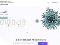 Оперативную информацию по covid-19 анапчане могут найти на специальном сайте