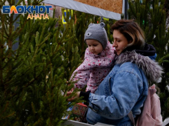 На Кубани заработают более 90 елочных базаров – большинство из них откроется в Анапе