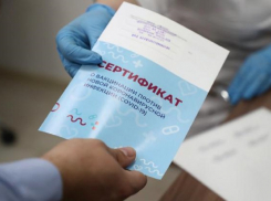 Распечатать QR-код в Анапе можно не только в МФЦ