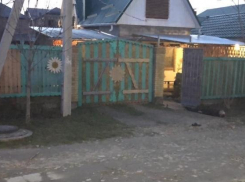 Зверское убийство отца и сына под Анапой попало на видео