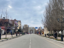 В Анапе в день домашних насекомых пасмурно