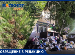 Загубленная «Орешка» и горы мусора в городе – гостья Анапы о впечатлении от отпуска