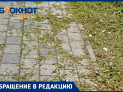 «Чем занимаются дворники?»: анапчанка негодует из-за неубранной после покоса травы