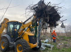 В плавнях Анапы прошел большой субботник 