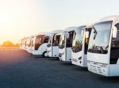 На чем добраться до Анапы: самым выгодным вариантом стали автобусные туры 