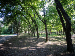 В поселке Виноградном идет первый этап реконструкции Парка Виноделия