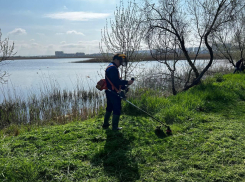 В Анапе проходит общегородской субботник