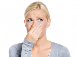 Новороссийск, Геленджик, Сочи, Анапа – где возможны проблемы с канализацией летом?