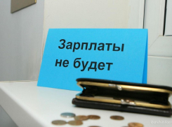 Деньги есть, но не для вас: в анапском институте полгода не платили зарплату