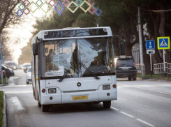 Школьники из многодетных семей Анапы смогут бесплатно ездить на автобусах