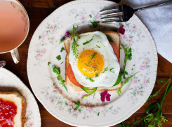 В школьных столовых Анапы детей будут кормить бесплатно по новому  закону