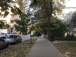 Во второй день октября в Анапе будет солнечно