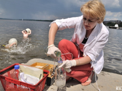 Вода в Чёрном море соответствует санитарным нормам