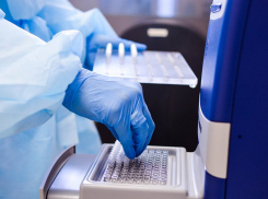 84 человека заразились коронавирусом, в Анапе плюс один. Сводка на 18 августа