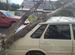 В Краснодаре град, в Новороссийске поваленые деревья, а в Анапе бархатный сезон