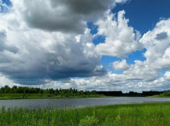 3 февраля в Анапе малооблачно и тепло